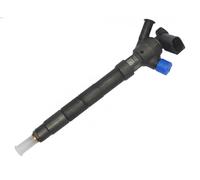 DELPHI 28529434-12B1 Injecteur