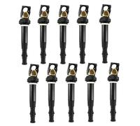 Injecteur de Carburant Bobines D'allumage 12137835108 12137841556 10 Pièces Pour M5 M6 5.0L V10 E60 E63 E64 C1643 2006 2010 52-2055 IC652 5C1700