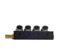 Injecteur De Carburant Pour D'injection Séquentielle 2 Ou 3 Ohms Pour GPL/GNC/NGV Injecteur Carburant Gaz Rail Lpg Système Séquentiel Voiture