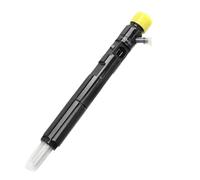 Injecteur Diesel For Delphi RENAULT 166009384R EJBR01801Z 28232248 EJBR04001D