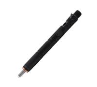 Injecteur diesel Injecteur de carburant pour diesel noir EJBR03701D pour Terracan Pièces détachées automobiles(Black)