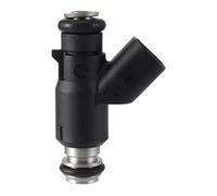 Injecteurs Carburant Injecteur Carburant Buse Pulvérisation Longue 2 Trous 170 Cm pour Moto Monocylindre Delphi Type 200 Pièce Rechange Fuel Injector Nozzle