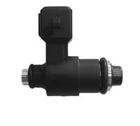 Injecteurs Carburant Injecteur Carburant pour MEV1-150-A Buse Pulvérisation 250-300 Cm³ FI40-0010-00 pour Système d'alimentation Complet d'origine Fuel Injector Nozzle