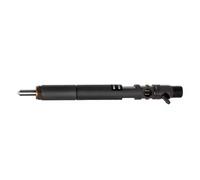 injecteurs Convient pour Ejbr 02901d injecteur de marque Ejbr02901d pompe d'injection pièces de rechange numéros Oem 338014X800 338004X800