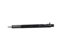 Injecteurs De Carburant Pour Grand Pour Mur Pour Moteurs H5 H6 4D20 Pour Delphi 1100100-ED01 28231014 Injecteur Rail Commun Du Moteur Diesel