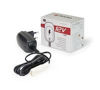 INJUSA - Chargeur pour Batterie au Plomb 12V Uniquement Compatible avec Les Véhicules Électriques Injusa 12V | Motos | Voitures | Quads à Batterie