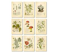 Ink Inc. Lot de 9 impressions artistiques vintage de plantes hallucinogènes psychoactives 12,7 x 17,8 cm Sans cadre Cannabis Coca Opium Tabac Absinthe Raisins LSD Champignons Peyote