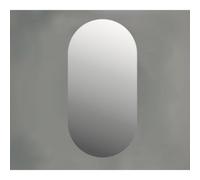 INK SP26 Miroir - 40x3x80cm - ovale - sans cadre - aluminium Miroir 8409260