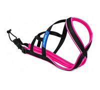 Inlandsis Harnais Polyvalent Réglable Chien 15kg à 55kg Polar Evo // Léger, Ergonomique et Résistant // Canicross, Cani-VTT, Promenade et Randonnée
