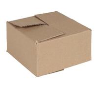 INLIFE Boîte Pliable avec Stockage 50 pcs Marron 15 x 15 x 8 cm Carton
