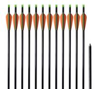 INLIFE Flèche d'arc à poulies Standard 12pcs 30" 0,8 cm Fibre de Verre