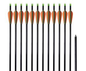 INLIFE Flèche d'arc à poulies Standard 12pcs 30" 0,8 cm Fibre de Verre