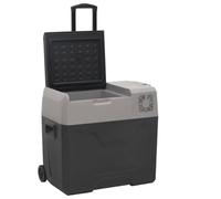 INLIFE Glacière avec Roue et Adaptateur Noir et Gris 50L polypropylène