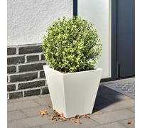 INLIFE Jardinière Blanc 30x30x30 cm acier-851040