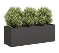 INLIFE Jardinière Noir 120x40x40 cm Acier laminé à Froid