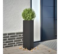 INLIFE Jardinière Noir Triangulaire 30x26x75 cm Acier