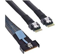 InLine 27663C câble Serial Attached SCSI (SAS) 1 m 32 Gbit/s