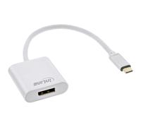 InLine 64102S câble vidéo et adaptateur 0,2 m USB Type-C DisplayPort Argent
