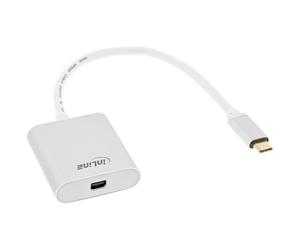 InLine 64105S câble vidéo et adaptateur 0,2 m USB Type-C Mini DisplayPort Argent