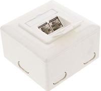 InLine® 75602K Cat.6 prise de raccordement, AP/UP 2x RJ45 prise femelle, RAL9010, blanc, vertical