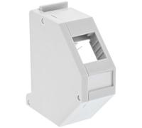 InLine 76203 Module Keystone