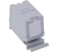 Inline 76203K Double coupleur RJ45 Cat.6A 10 Gbit/s blindé pour Rails TH35 en Zinc moulé sous Pression