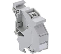 InLine® Cat.6A Keystone Module Snap-in pour Rail DIN 10 Gbit/s Adaptateur réseau blindé Montage sans Outil Compatible avec Rails DIN Standard 76203D