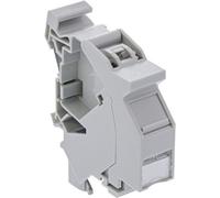 InLine® Cat.6A Keystone SNAP-In Module pour profilé chapeau