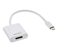 InLine® Convertisseur USB pour écran, USB-C mâle vers DisplayPort 4K/60Hz argenté