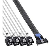 InLine MCIO x8 Câble de dérivation vers 8 x SATA mâle pour disque dur et SSD 1 m