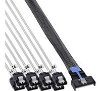 InLine MCIO x8 Câble de rupture vers 8 x SATA mâle pour disque dur et SSD 0,75 m