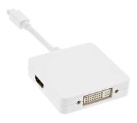 InLine® Mini DisplayPort vers HDMI/DVI/DisplayPort Câble adaptateur, blanc