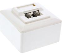 InLine® prise de raccordement Cat.5e, AP/UP 2x RJ45 prise femelle, RAL 9010, blanc