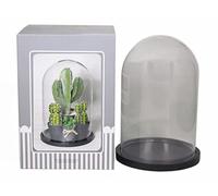 innaGLAS Cloche en Verre SABIKA avec Socle en Bois Noir, Transparent, 22 cm, Ø 14 cm - Dôme en Verre