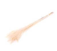 innaGLAS Plumes décoratives NOYANA en Bouquet, 5 pièces, blanchies, 65-85 cm - Plumes décoratives de Paon