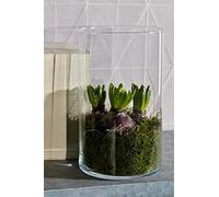 innaGLAS Vase en Verre Cylindre Sanya Earth, Transparent, 25cm, Ø18cm - Vase à Fleurs