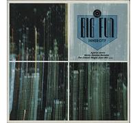 Inner City - Big Fun (2) [Vinyl Maxi-Single]