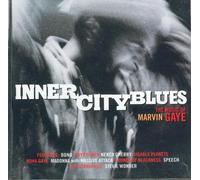Inner City Blues : The Nusic Of Marvin Gaye Nona Gaye