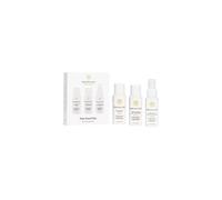 Innersense Organic Beauty - Trio capillaire de voyage Natural Pure Harmony | Soins capillaires propres, non toxiques et sans cruaut