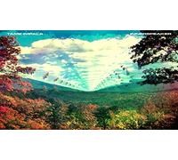 Fiction BMX Innerspeaker