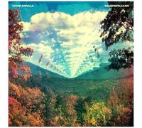 Tame Impala Innerspeaker (Vinyl) 12" Album