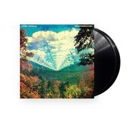 Innerspeaker Vinyle