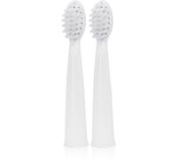 innoGIO GIOSonic Spare Heads têtes de remplacement pour brosse à dents GIOSonic 2 pcs