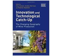 Innovation And Technological Catch-Up