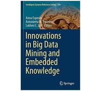Innovations In Big Data Mining And Embedded Knowledge