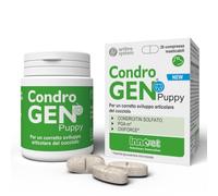 Innovet Comprimés Condrogen Puppy pour chiots de grande taille – PGA-m, chondroïtine – 30 comprimés