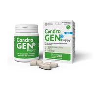 Innovet Comprimés Condrogen Puppy pour chiots de grande taille – PGA-m, chondroïtine – 30 comprimés