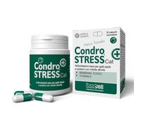 Innovet Condrostress + Cat Complément Chat Confort Articulaire, 30 gélules | Chats adultes et âgés, Raideurs, Mobilité, Santé Articulaire, Collagène, Acide Hyaluronique, Chondroïtine, Facile à donner
