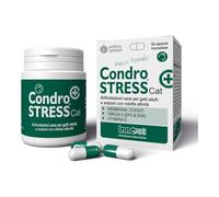 Innovet Italie CONDROSTRESS + Cat 30CPS