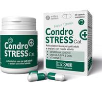 CondrStress + Chat 30 Comprimés
